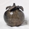 Usʔ: Persimmon 1