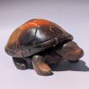 Ch'aya suweʔ: Three-toed box turtle 3