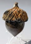 Baʔ: Acorn 5