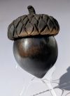 Baʔ: Acorn 2