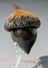 Baʔ: Acorn 4