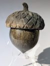 Baʔ: Acorn 6
