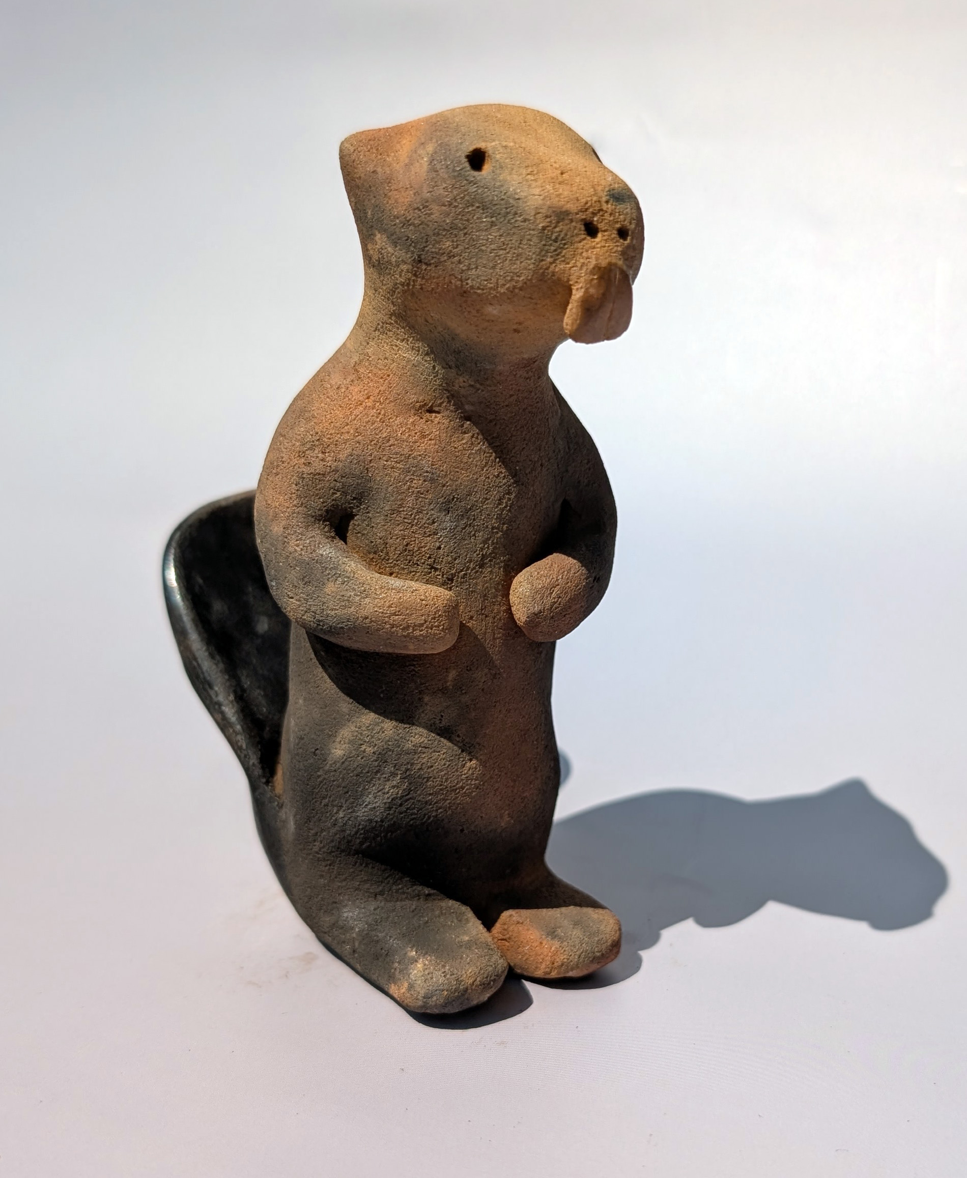 T'aʔo: Beaver 3